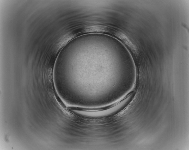 X0000098041233200803281424