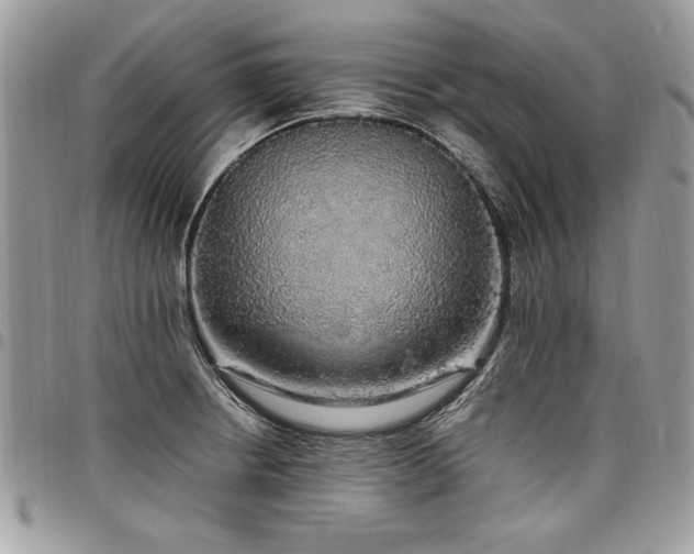 X0000098041234200803281424