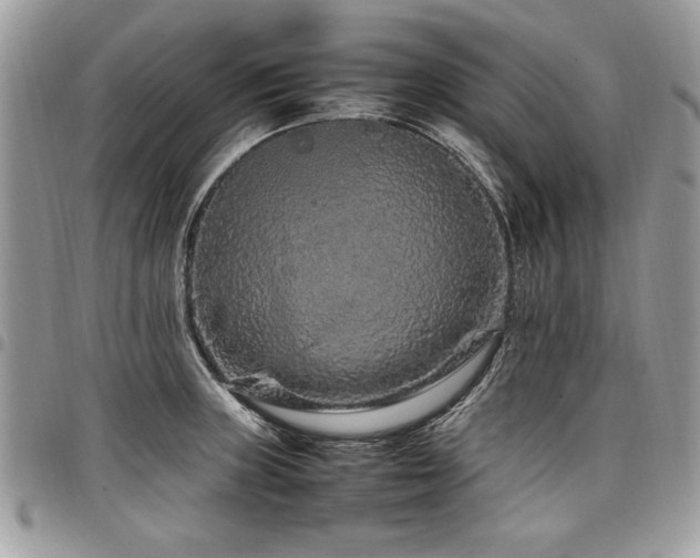X0000098041235200803281424