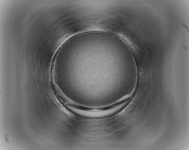 X0000098041236200803281424