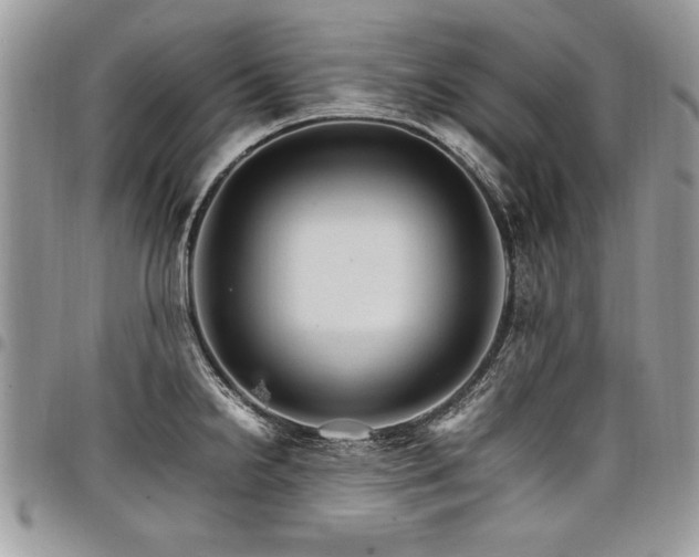 X0000098041238200803281424