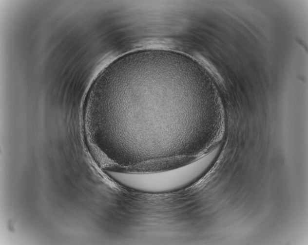 X0000098041240200803281424