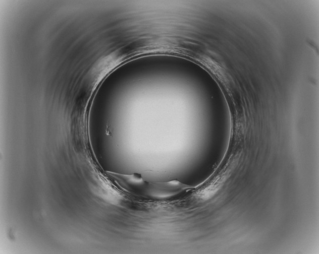 X0000098041242200803281424
