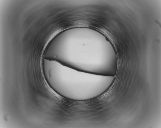 X0000098041243200803281424