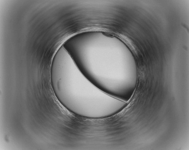 X0000098041244200803281424