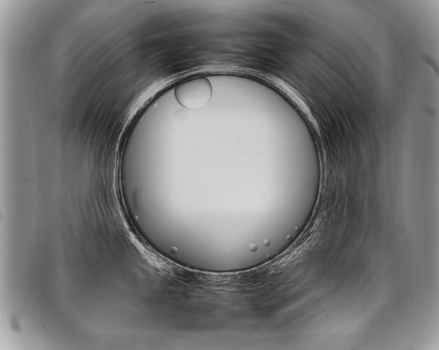 X0000098041245200803281424
