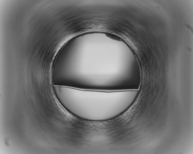 X0000098041246200803281424