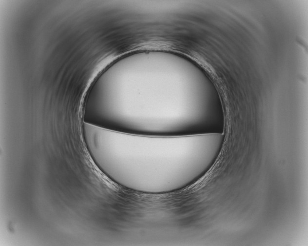 X0000098041248200803281424