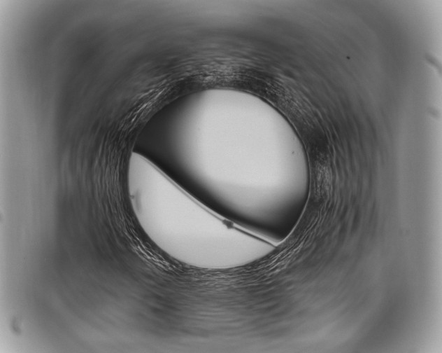 X0000098041250200803281424