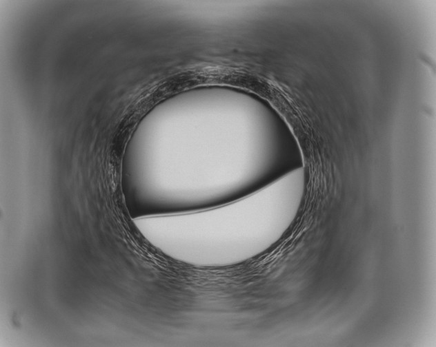 X0000098041253200803281424