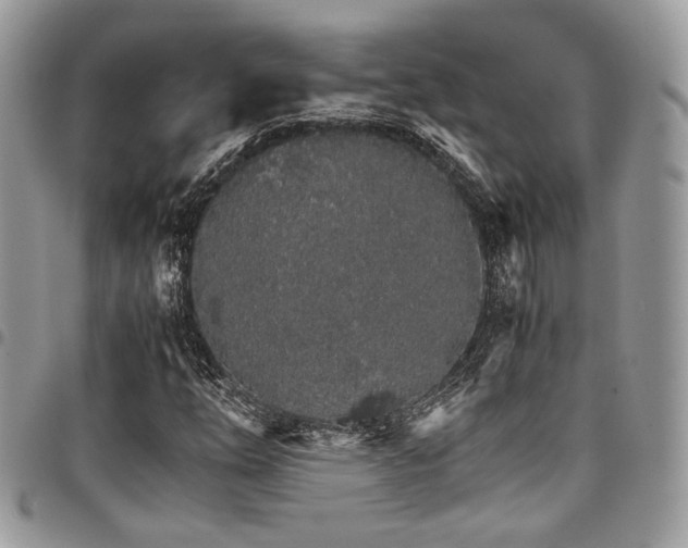 X0000098041254200803281424