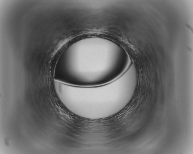 X0000098041256200803281424