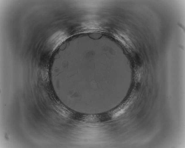 X0000098041259200803281424