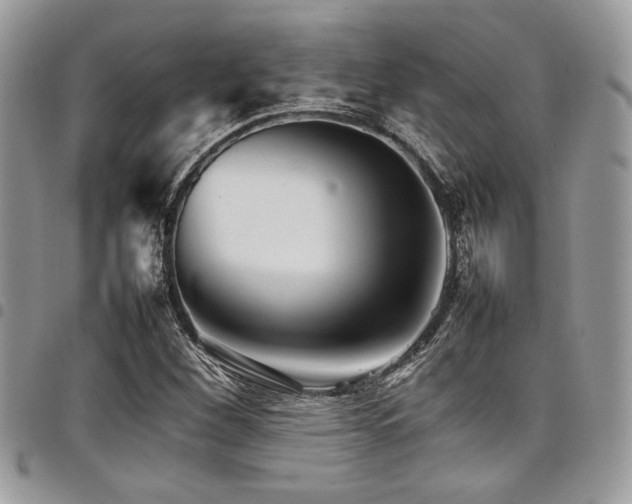 X0000098041260200803281424
