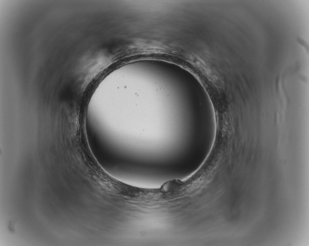 X0000098041261200803281424