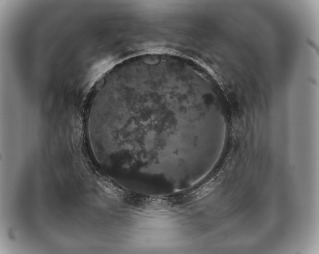 X0000098041263200803281424