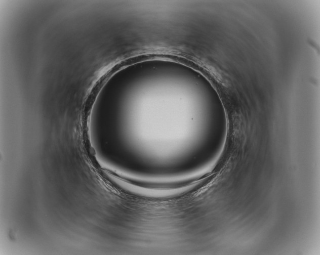 X0000098041264200803281424