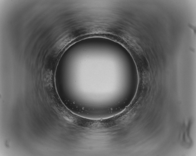 X0000098041265200803281424