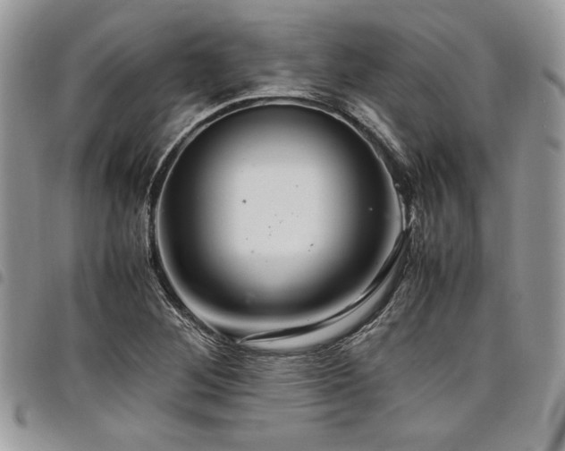 X0000098041268200803281424