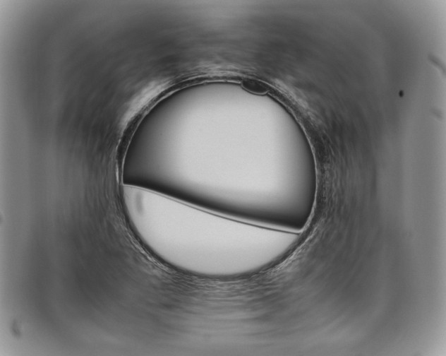 X0000098041269200803281424