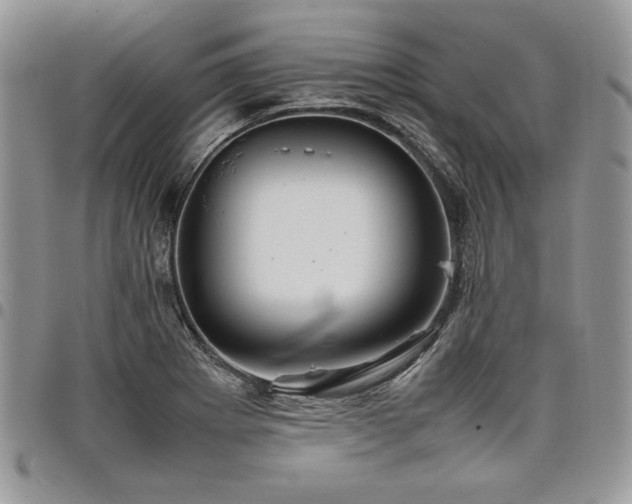 X0000098041273200803281423