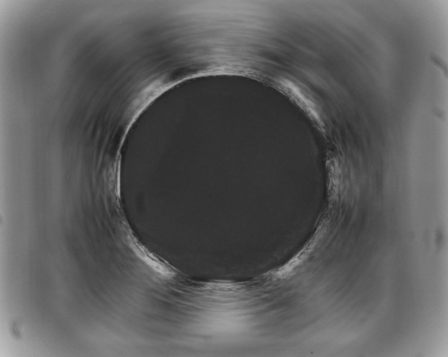 X0000098041276200803281423