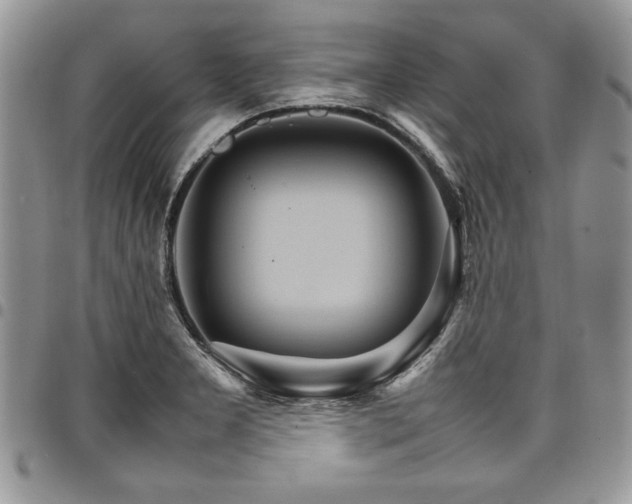 X0000098041277200803281423