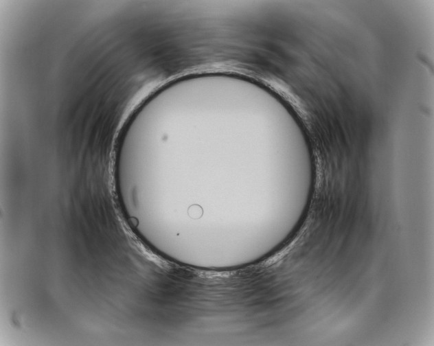 X0000098041278200803281423