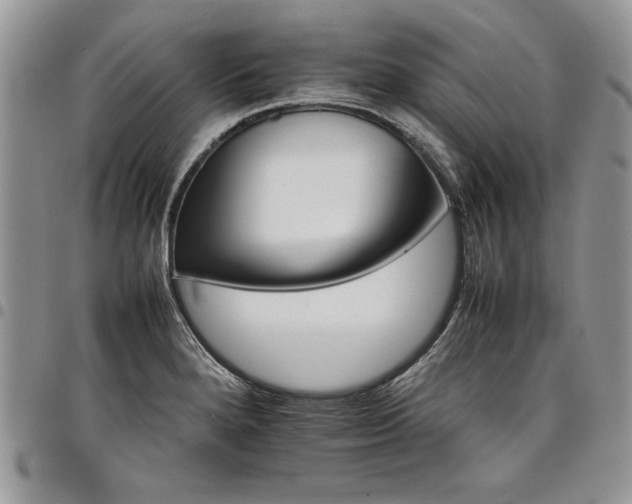 X0000098041280200803281423