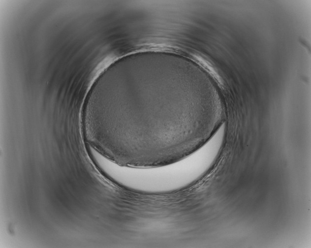 X0000098041283200803281423