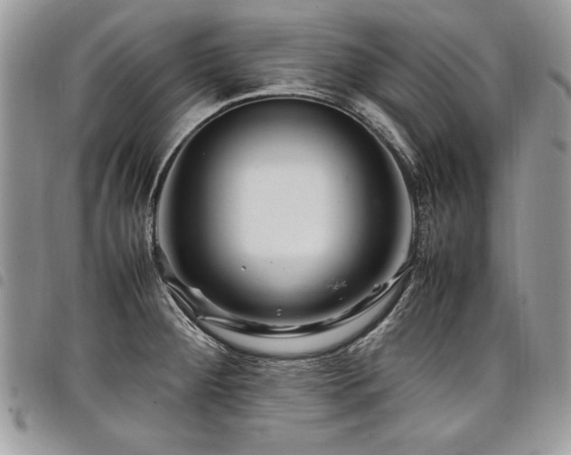 X0000098041284200803281423