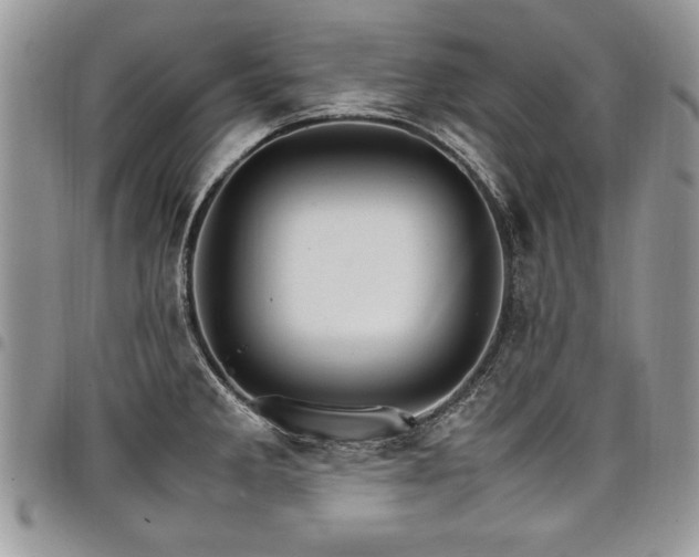 X0000098041285200803281423