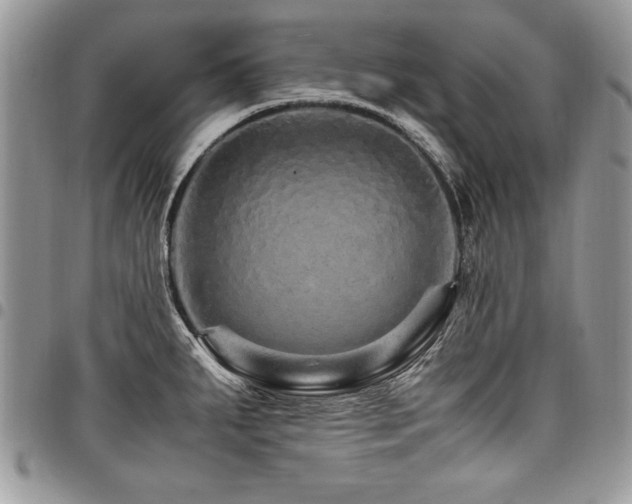 X0000098041287200803281423