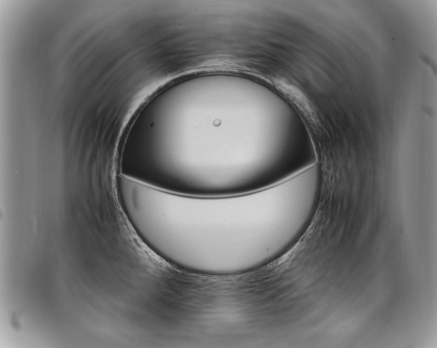 X0000098041288200803281423