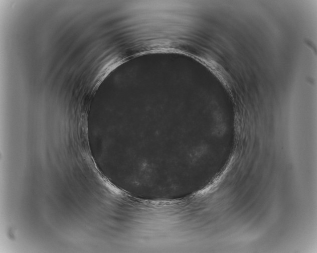 X0000098041289200803281423