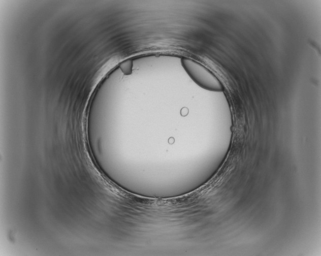 X0000098041291200803281423