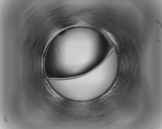 X0000098041292200803281423
