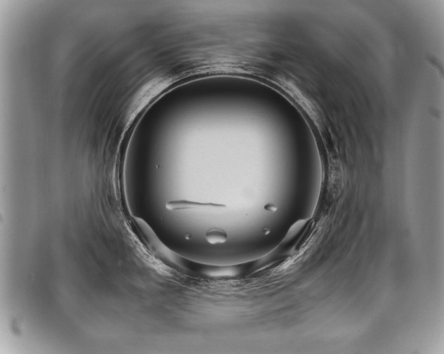X0000098041293200803281423