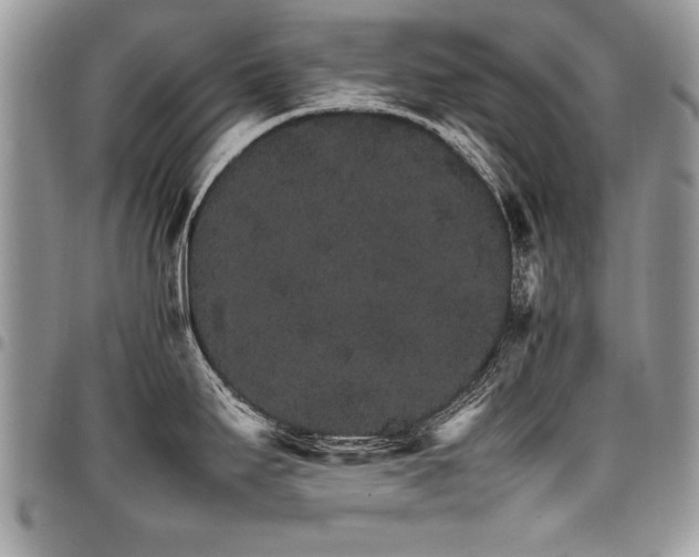 X0000098041295200803281423
