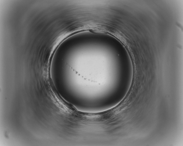 X0000098041296200803281423