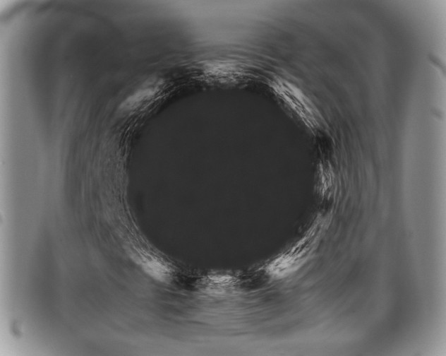 X0000098041297200803281422