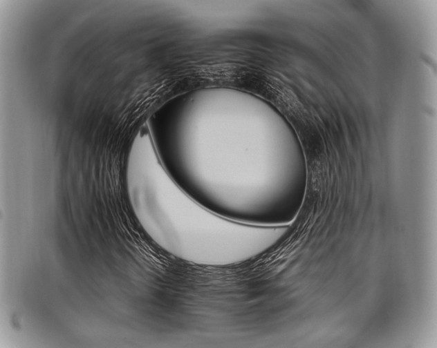 X0000098041298200803281422