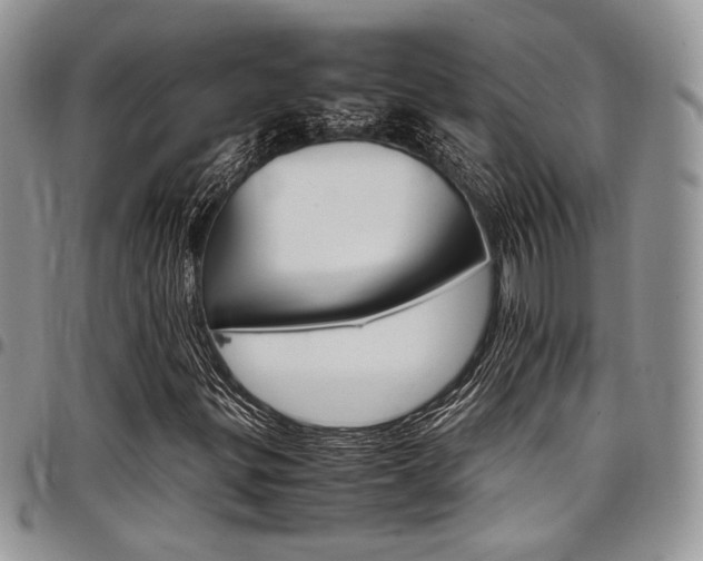 X0000098041299200803281422