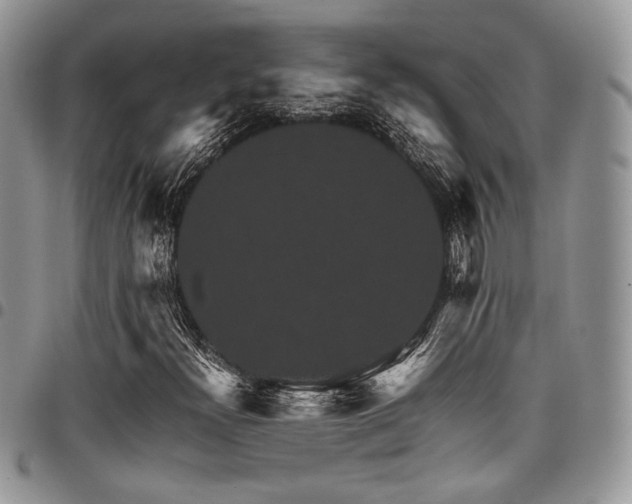 X0000098041300200803281422
