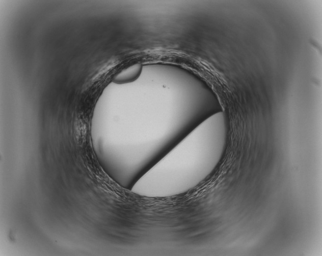 X0000098041302200803281422
