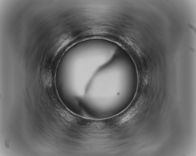 X0000098041306200803281422