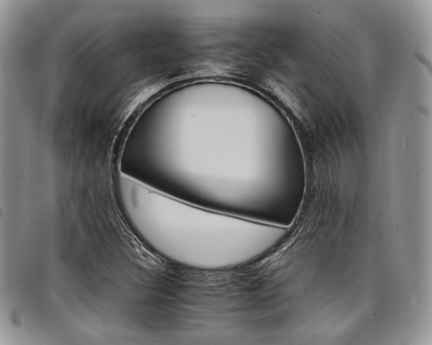 X0000098041308200803281422
