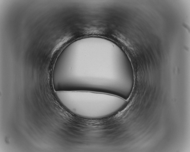 X0000098041309200803281422