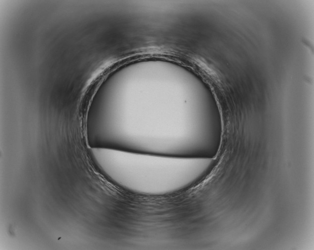 X0000098041310200803281422