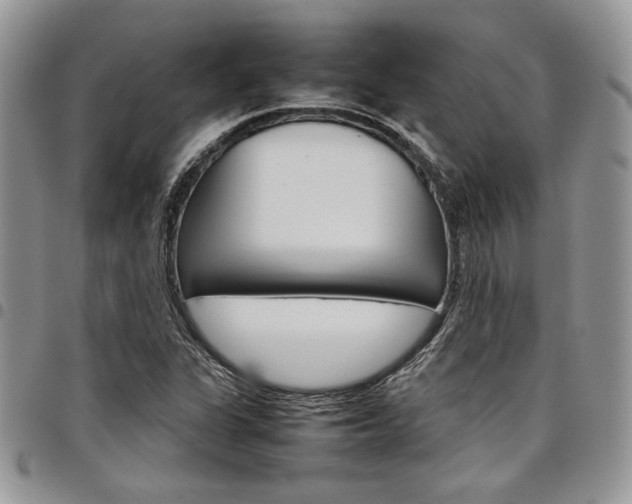 X0000098041311200803281423